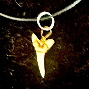 Shark tooth Necklace